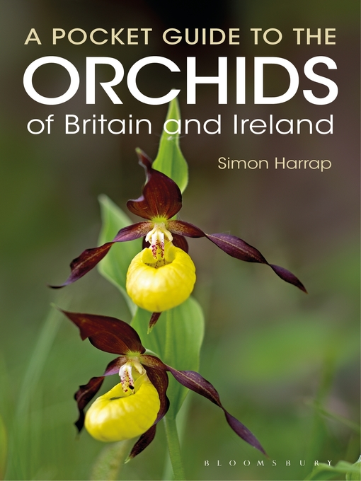 Cover image for Pocket Guide to the Orchids of Britain and Ireland
